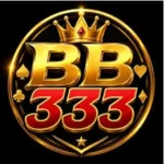 This is the Official Image of BB333 Game for Users in Pakistan