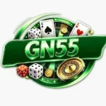 This is the Official Image of GN55 Game for Users in Pakistan in 2026